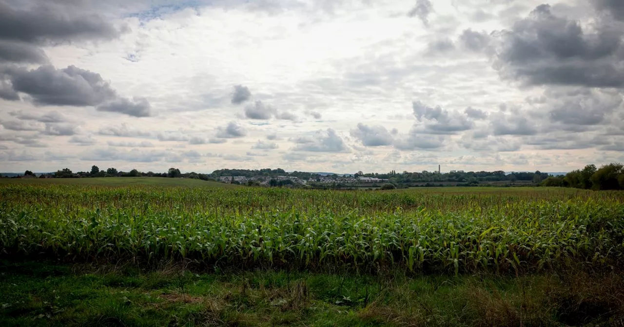 Major update as plans for 700 homes and new country park emerge