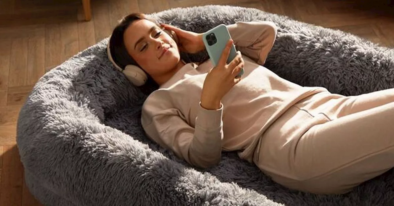 Shoppers 'ditching sofa' for giant 'human pet beds' that are 'so cosy'