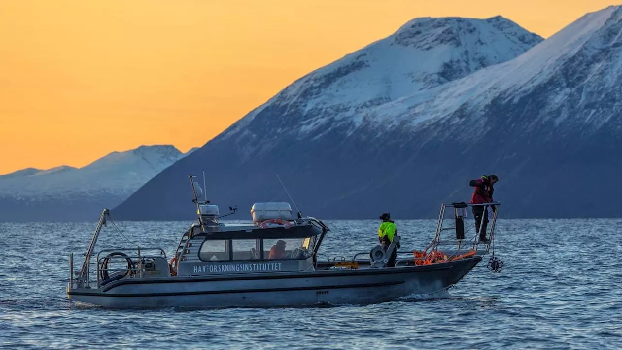 Regjeringa vil bevare 30 prosent natur, men setter ingen mål for havet