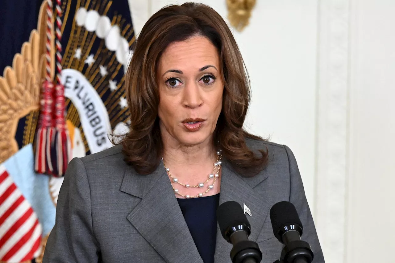 Kamala Harris' 'Opportunity Economy' scam is a wrecking ball of government control