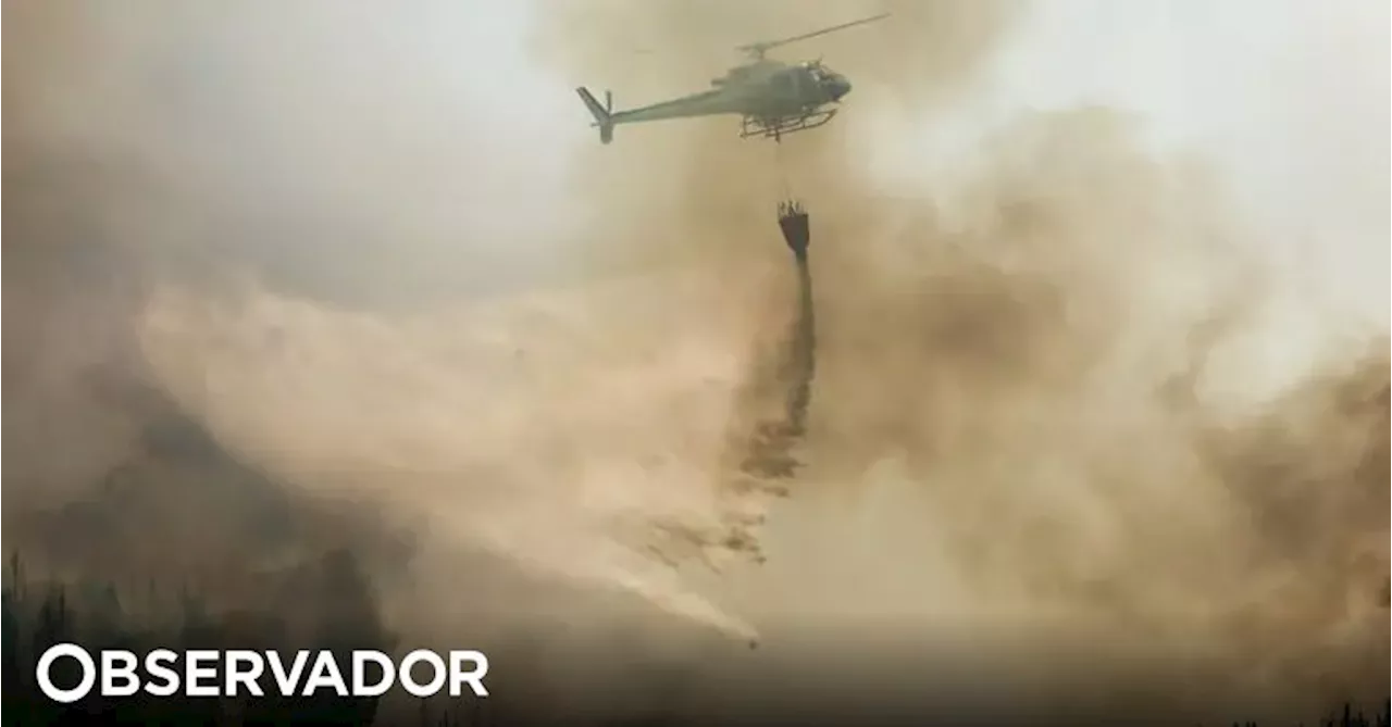 Advogados revelam que incêndio de 2020 em Santo Tirso matou 93 animais e não 73