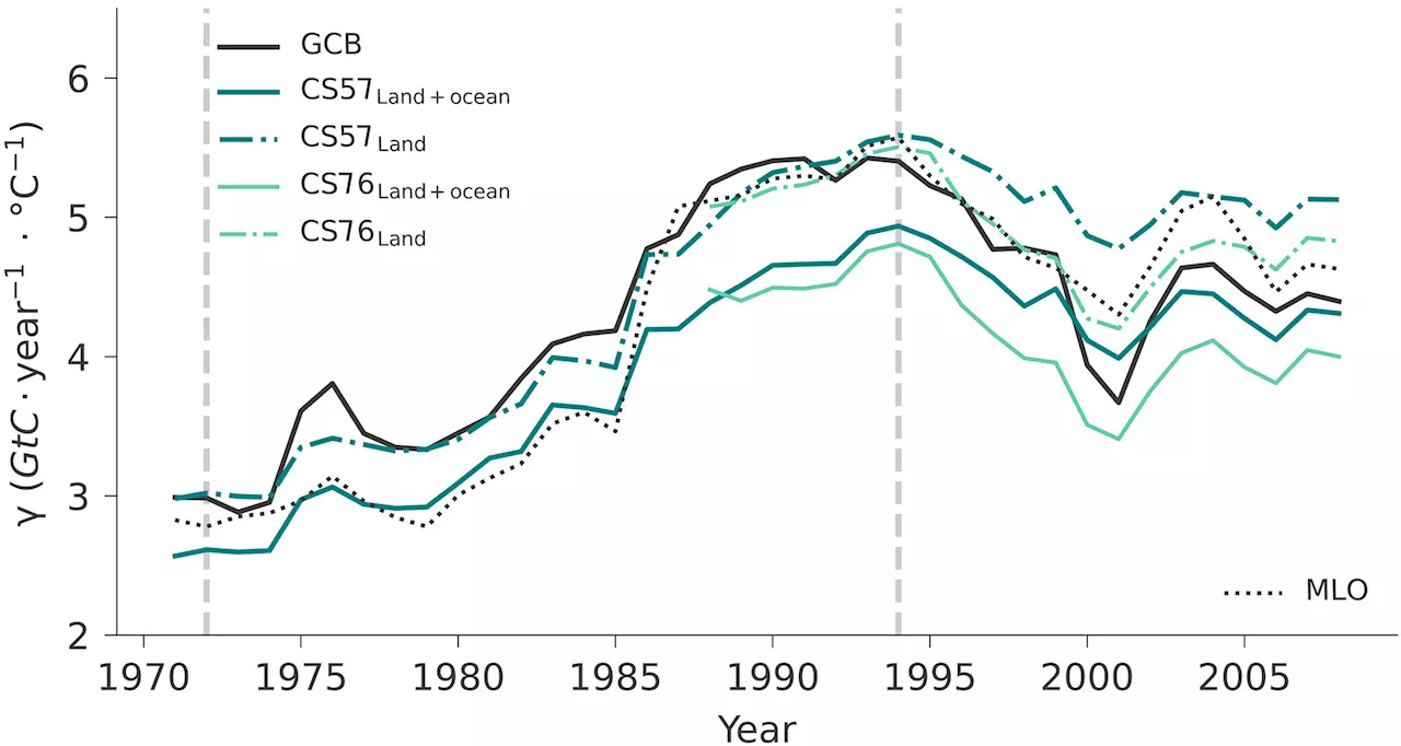 Extreme El Niño events cause short-term CO₂ fluctuations, researchers find