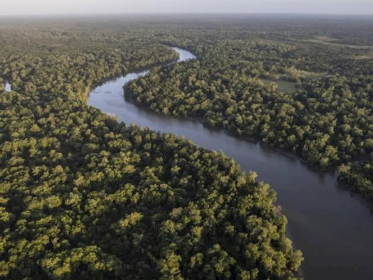 Tramo del río Amazonas en Colombia se drenó en un 90% por la sequía