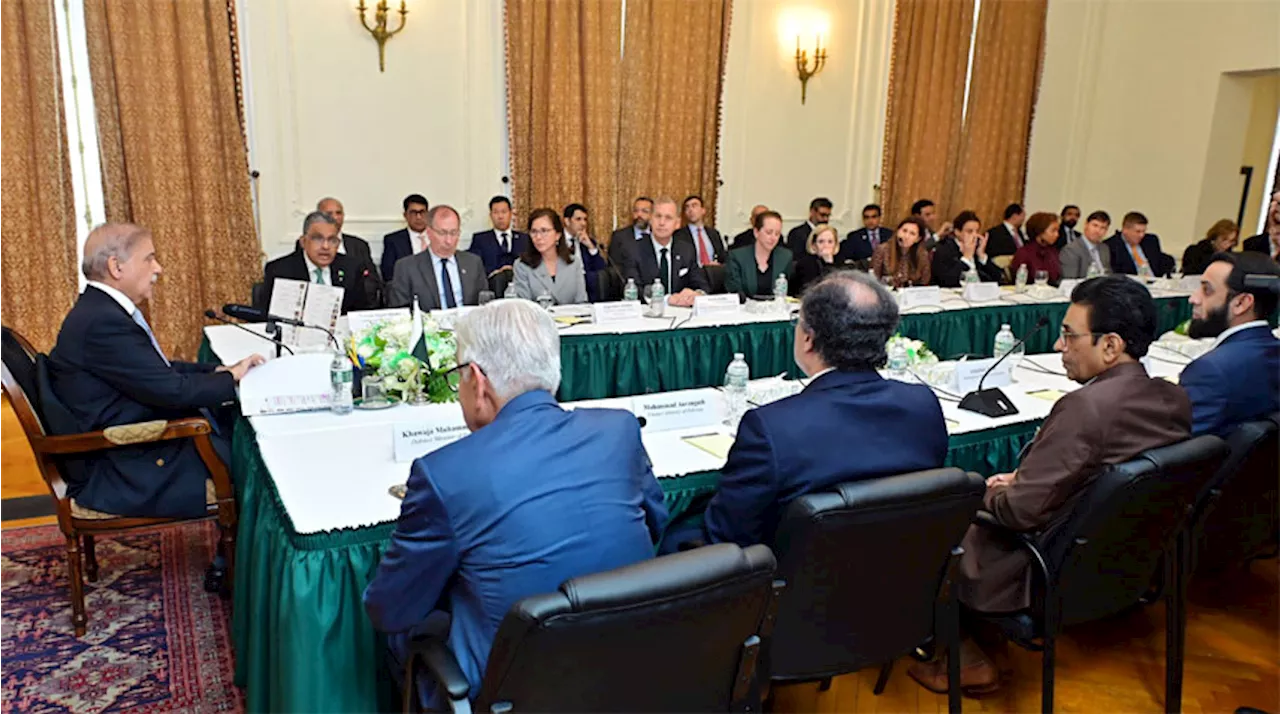 Attracting US Investors Priority Of Govt: PM Shehbaz