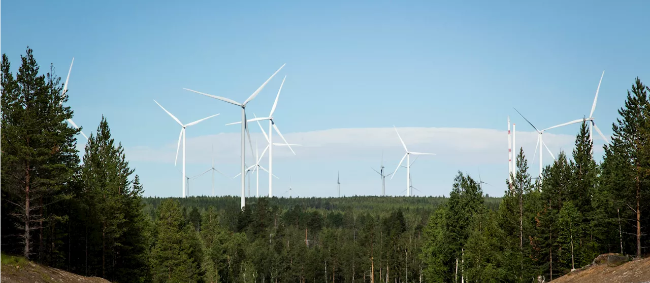 LKAB och Vattenfall oense: 'Inte i närheten av ett avtal'