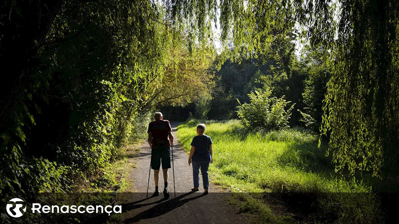 Esperança de vida à nascença aumentou em Portugal para 81,17 anos