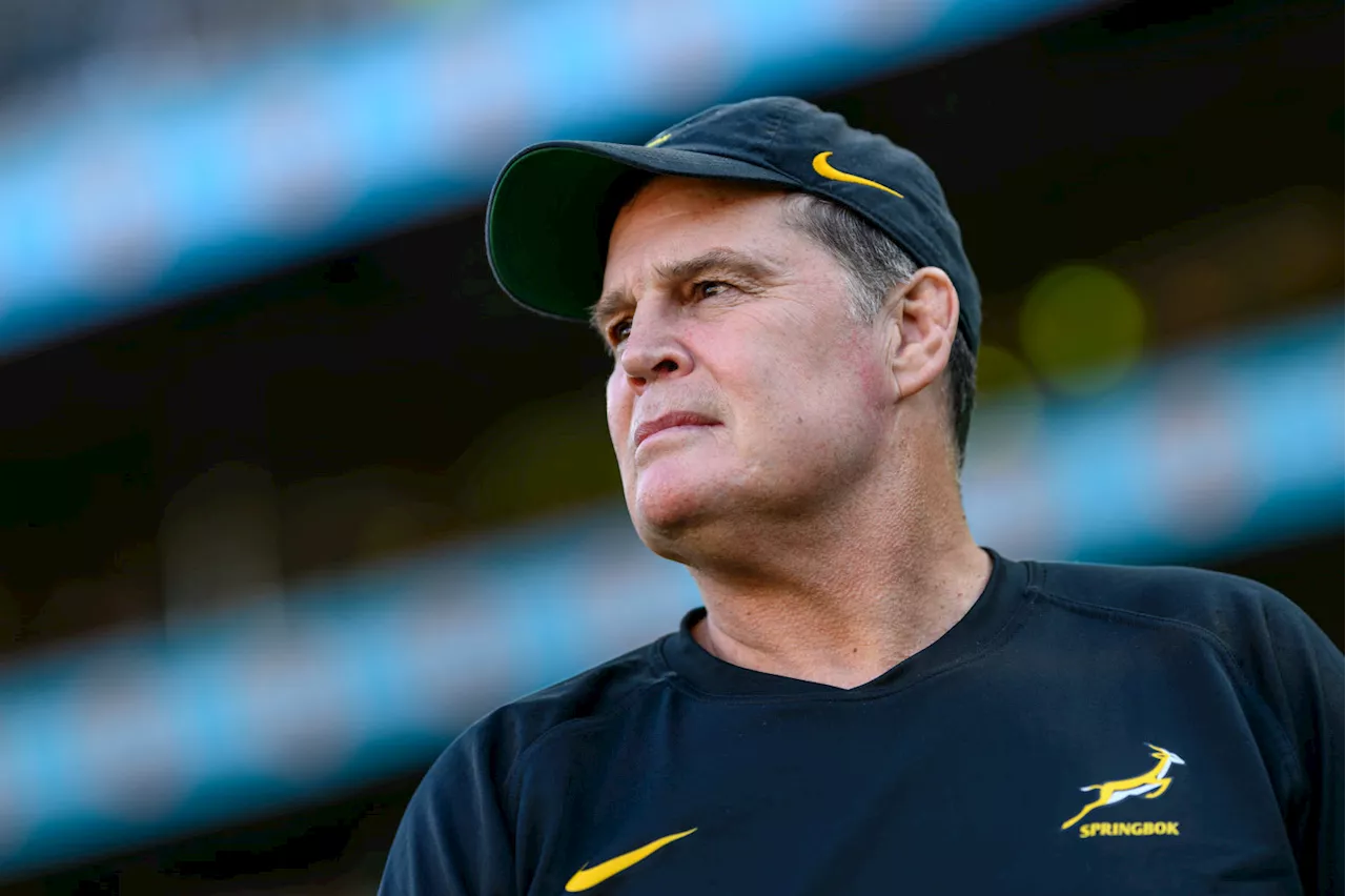 Cheika: Rassie building a Bok 'monolith'