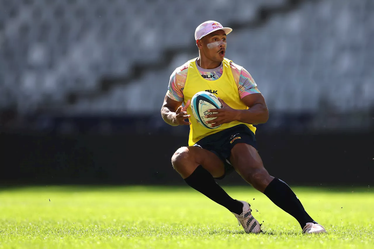 Dobson: Gaza ready to spark Stormers