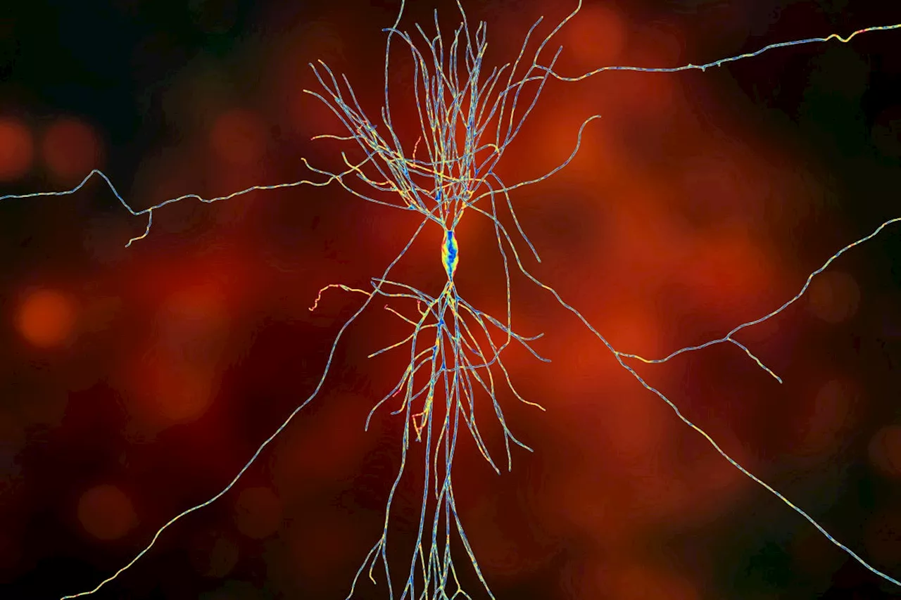 How Your Brain Detects Patterns without Conscious Thought