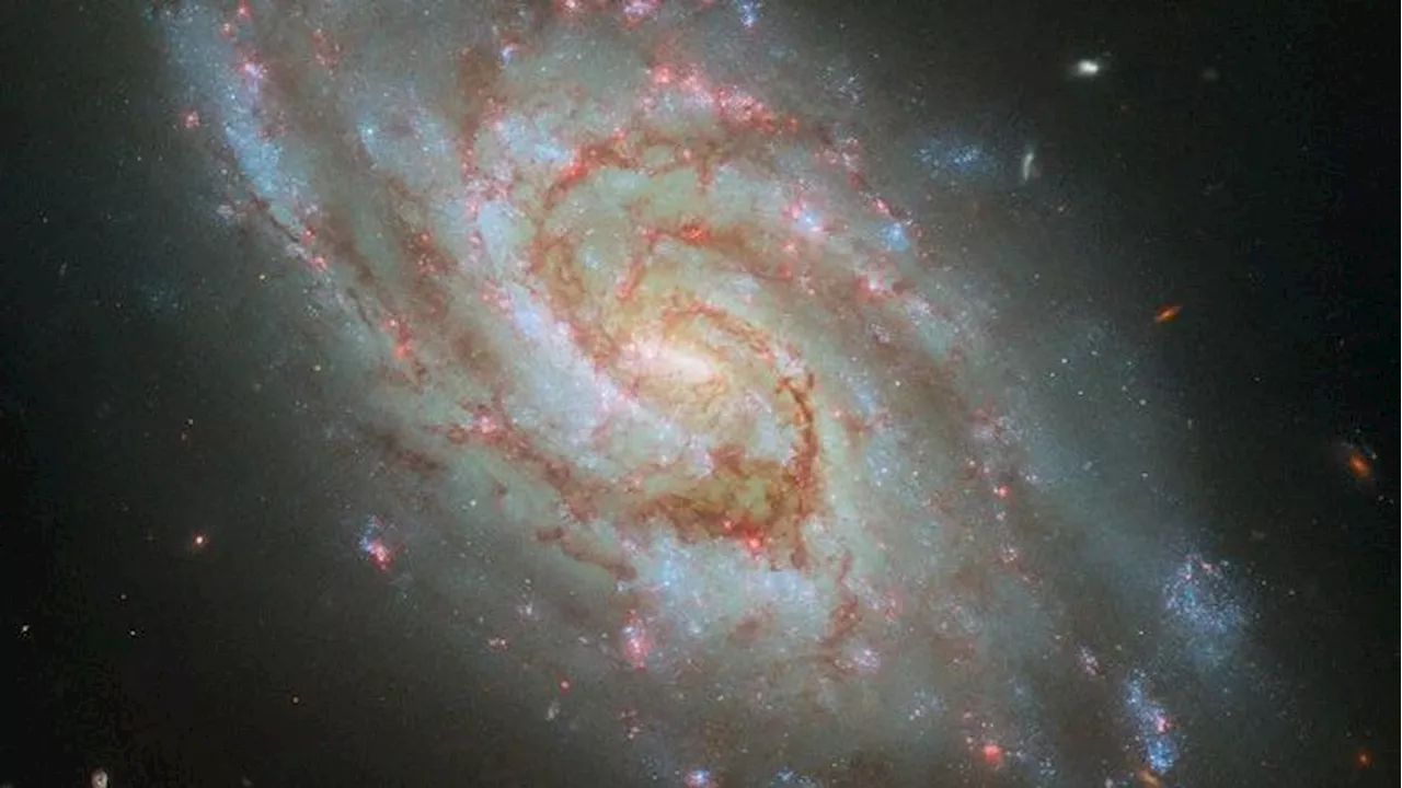 Hubble Space Telescope spies a spiral galaxy in a cosmic 'clock'