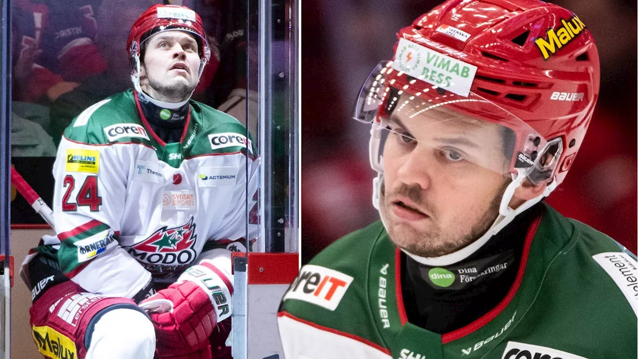 Måns Carlsson svävar på rosa SHL-moln dessa dagar