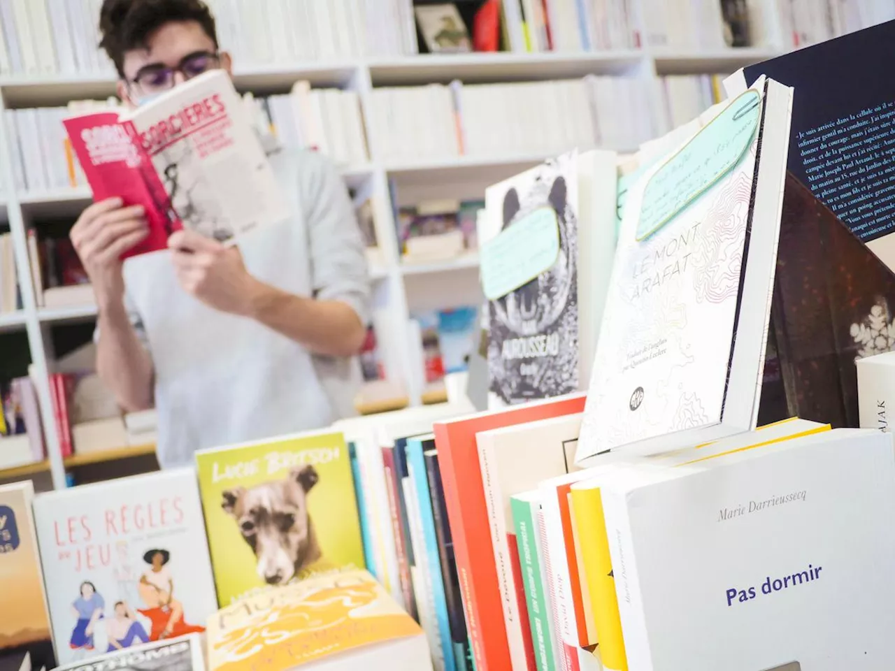 Bayonne désignée troisième « ville littéraire de France » grâce à son dense réseau de librairies