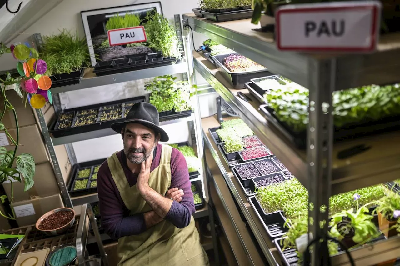 Dorian Daill lance sa société Pau Pouss' : une micro ferme urbaine à Pau