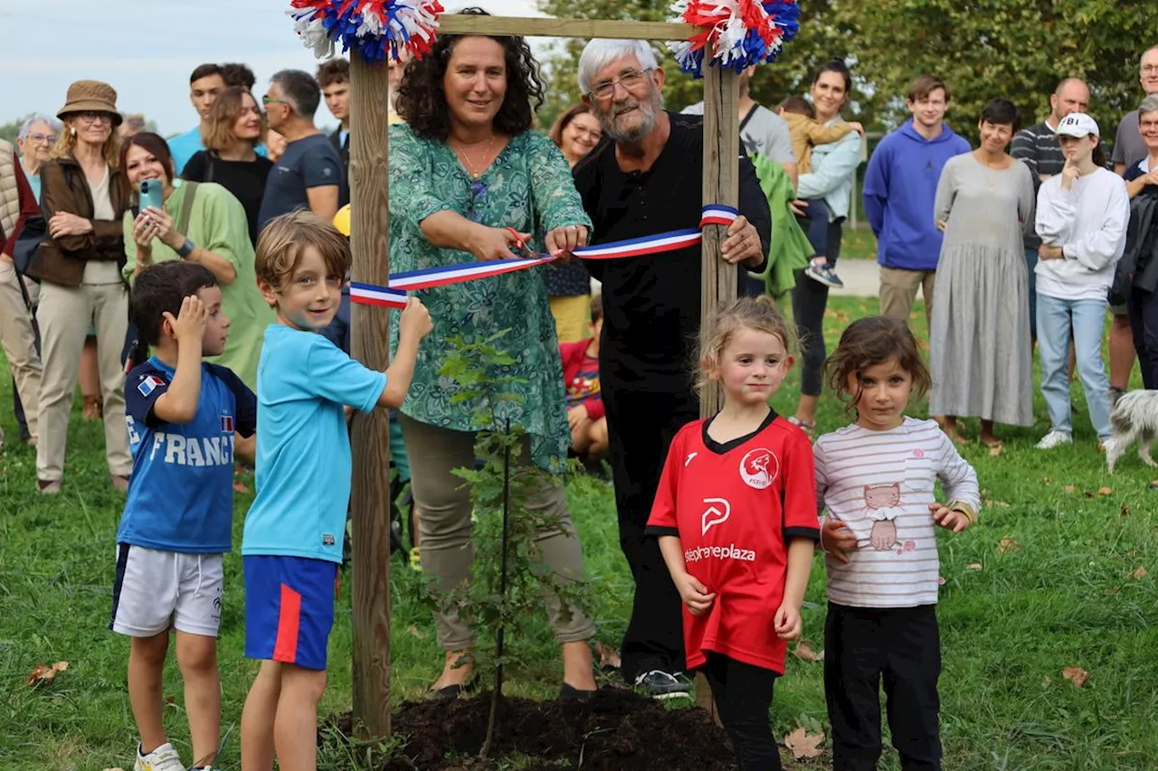 Gironde : à Saint-Loubès, l’arbre de la liberté, en fin de vie, a un petit frère