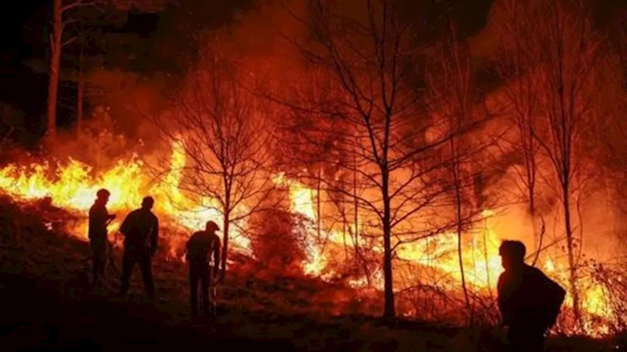 Sudamérica: Incendios forestales agudizan la crisis climática