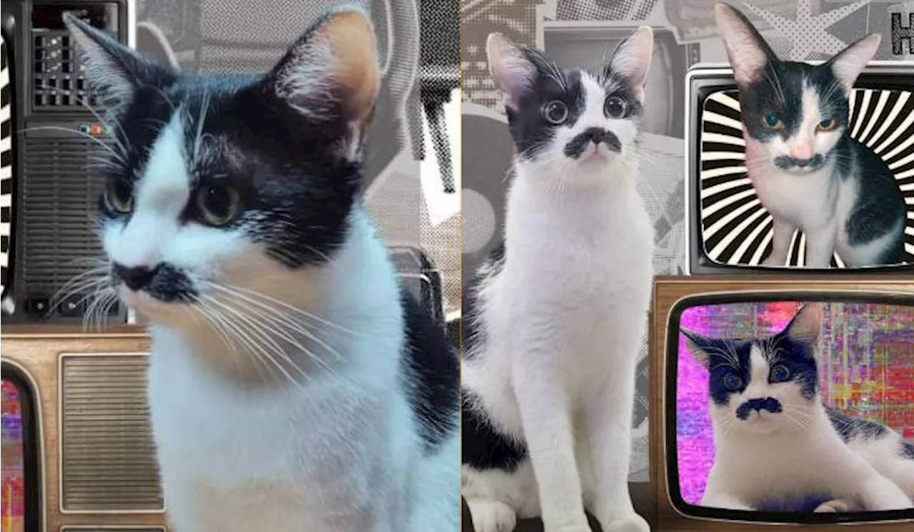 Meet Kitler: Appointed Student Facilitator At Universiti Malaya’s KK9