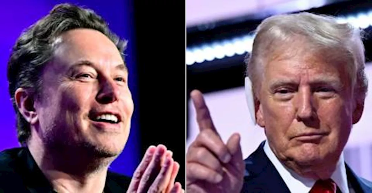 ‘Misinformation megaphone’: Musk stokes tension before US election