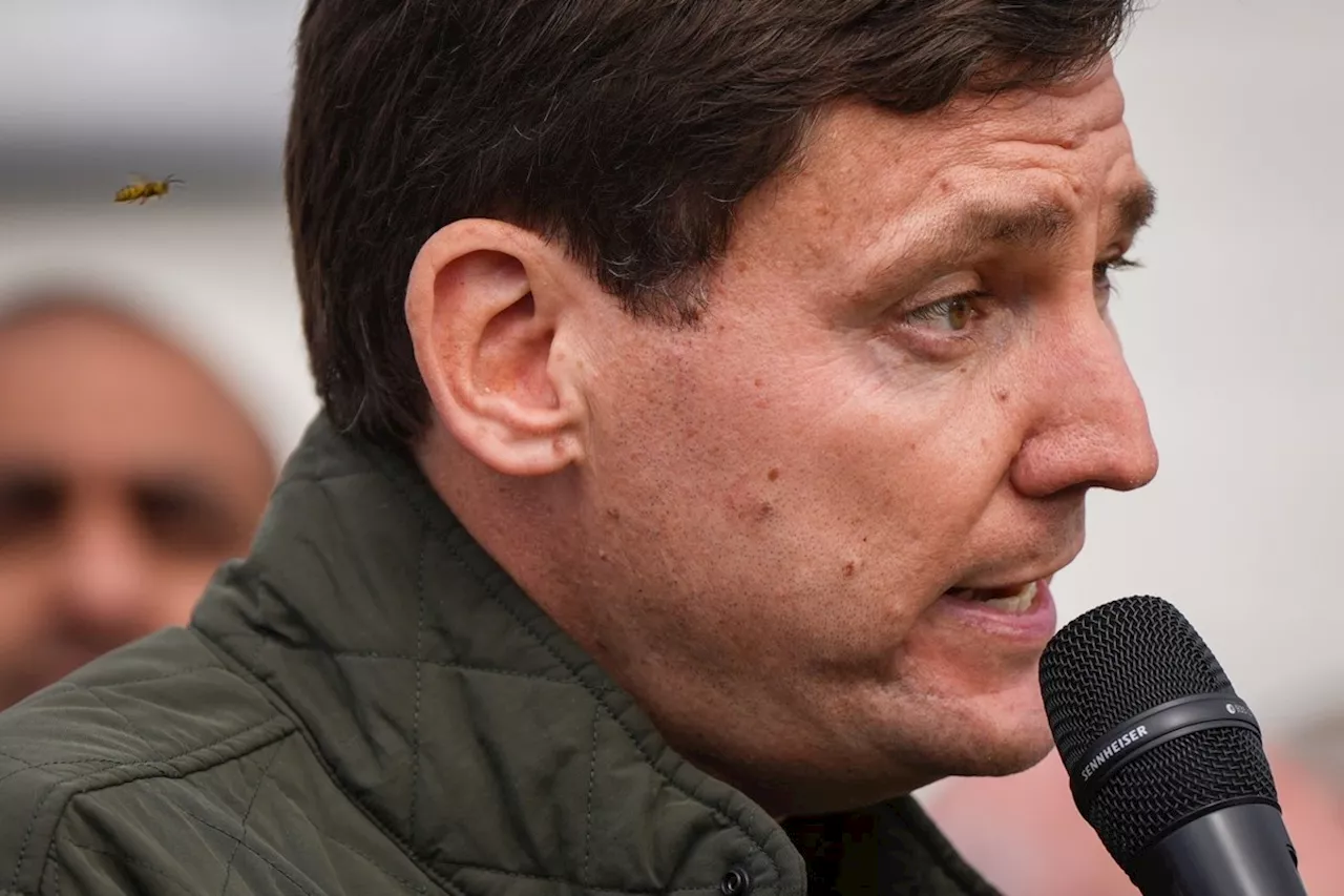 Wasp in fatal encounter with David Eby on B.C. campaign trail