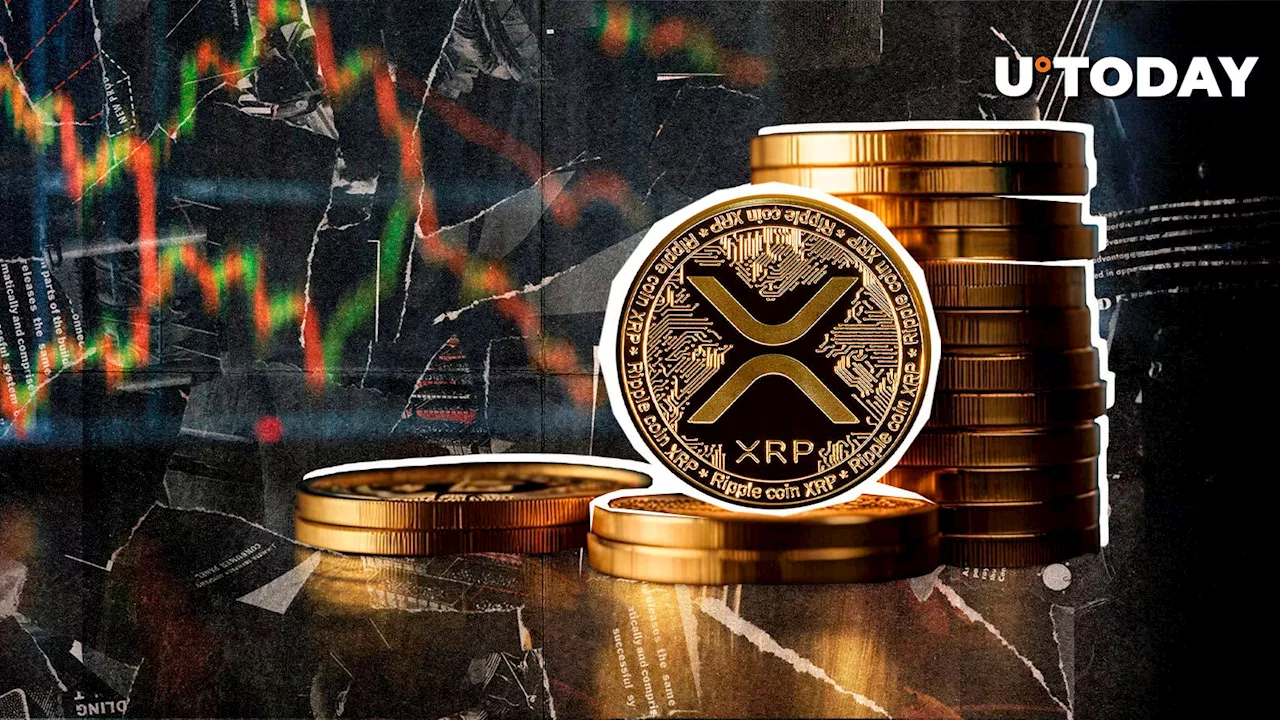 40 Million XRP Withdrawal Stuns Top Crypto Exchange