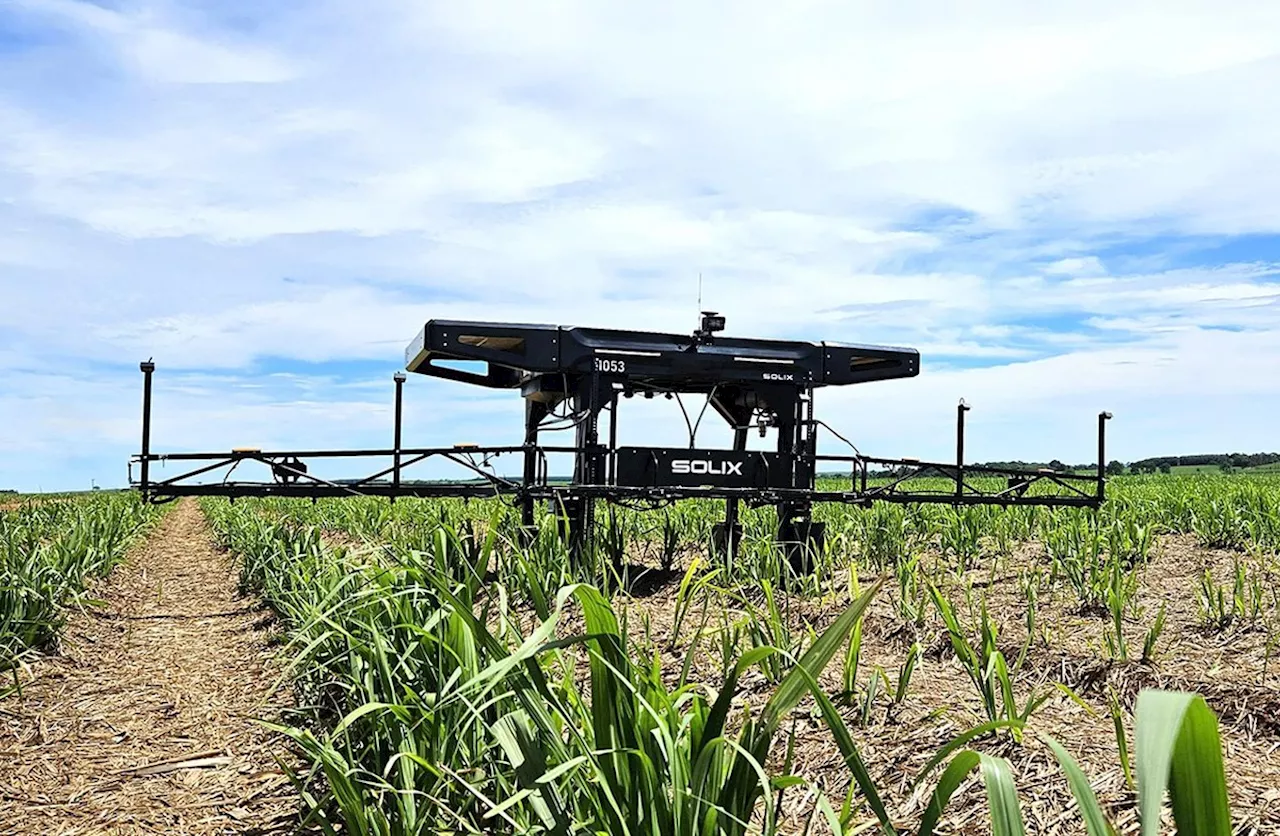 Baixa conectividade no campo dificulta adoção de IA e internet das coisas