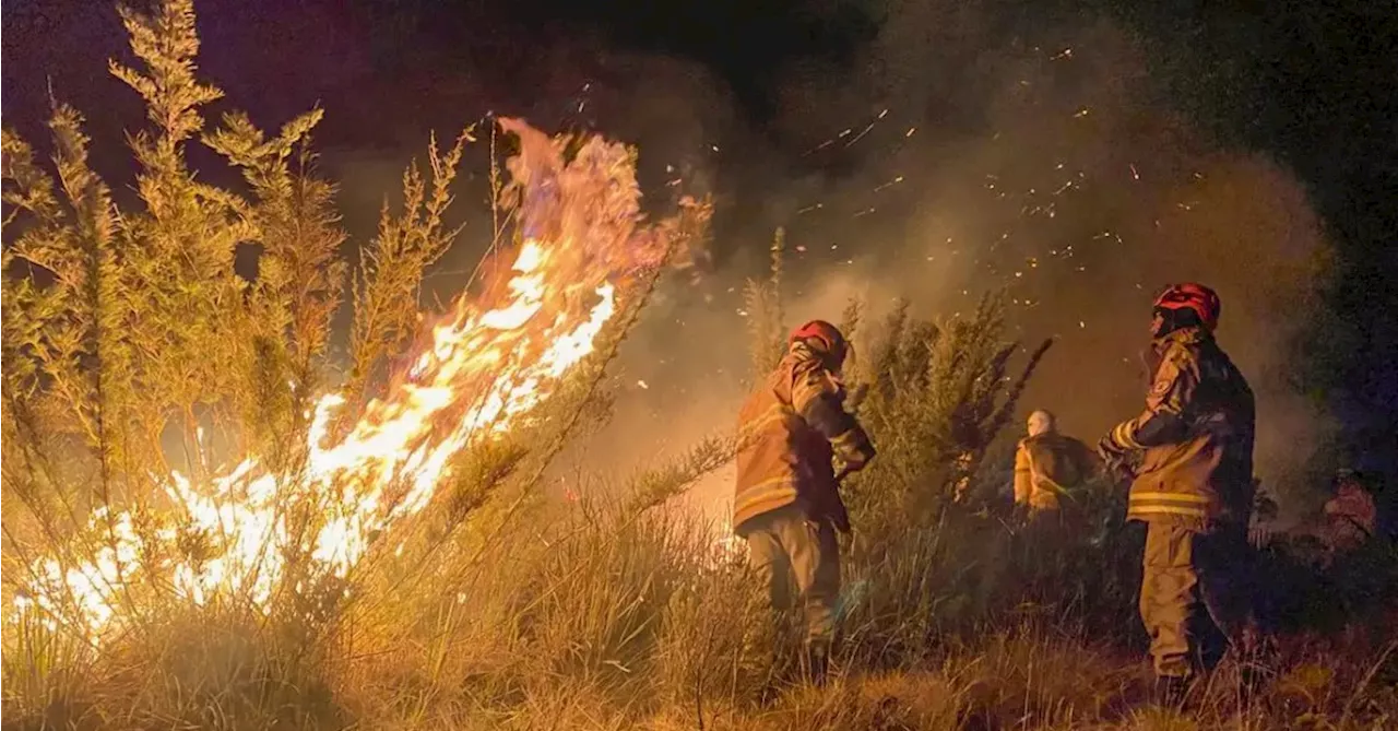 Ondas de calor ficaram quatro vezes mais frequentes nos últimos 30 anos