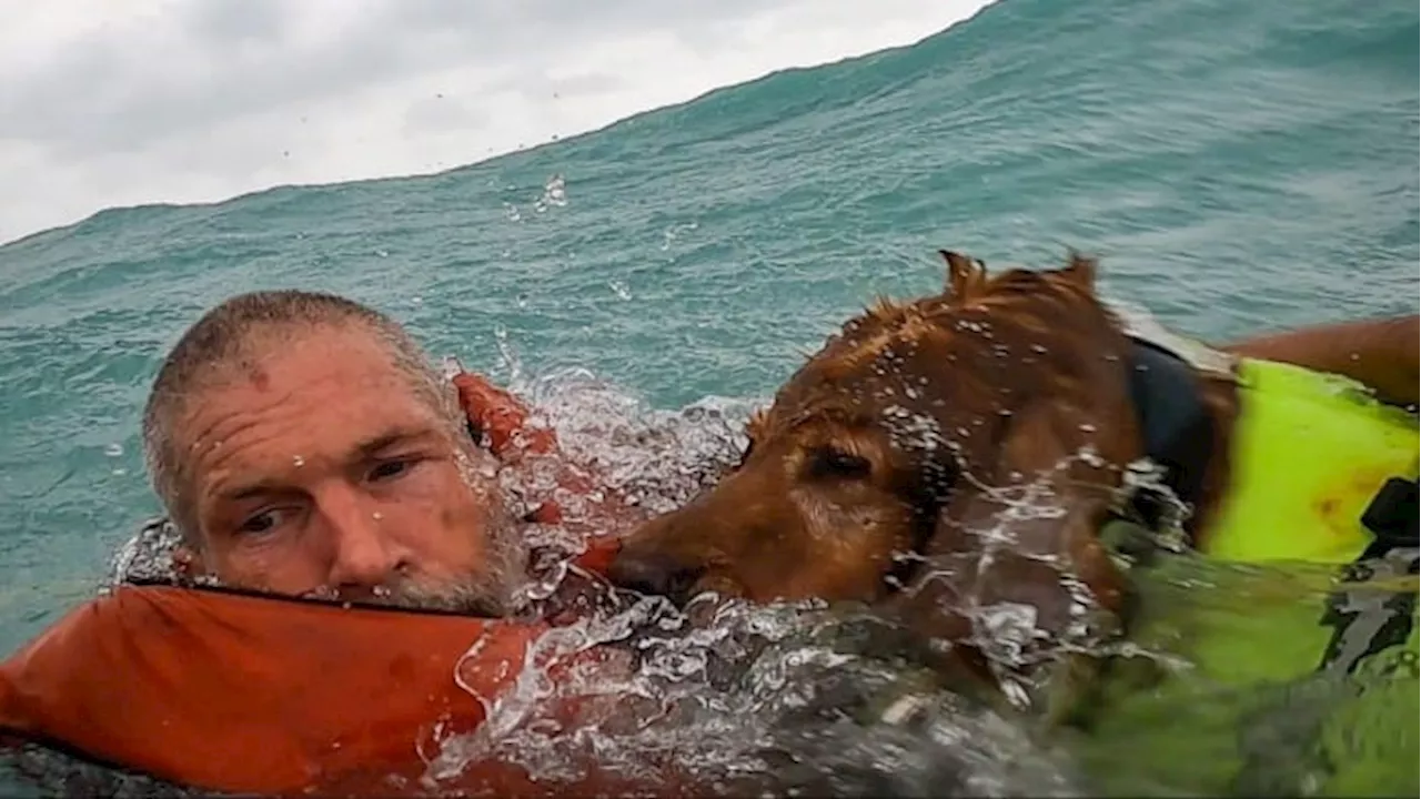 VIDEO: U.S. Coast Guard airlifts man, dog to safety in daring rescue amid Hurricane Helene