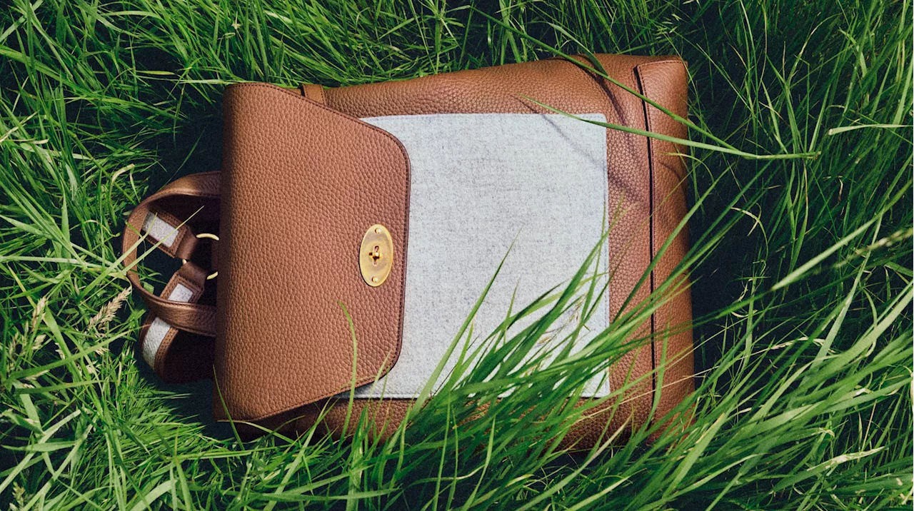 Mulberry Raises Fresh Funds Amid Losses, Falling Sales in Fiscal 2024