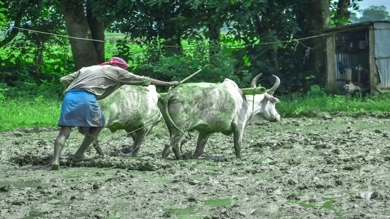 ದೇಶದ ರೈತರಿಗೆ ನವರಾತ್ರಿ ಕೊಡುಗೆ!ಸರ್ಕಾರದ ವತಿಯಿಂದ ಅಕ್ಟೋಬರ್ 5 ರಂದು ಖಾತೆಗೆ ಬೀಳುವುದು ಇಷ್ಟು ಹಣ !