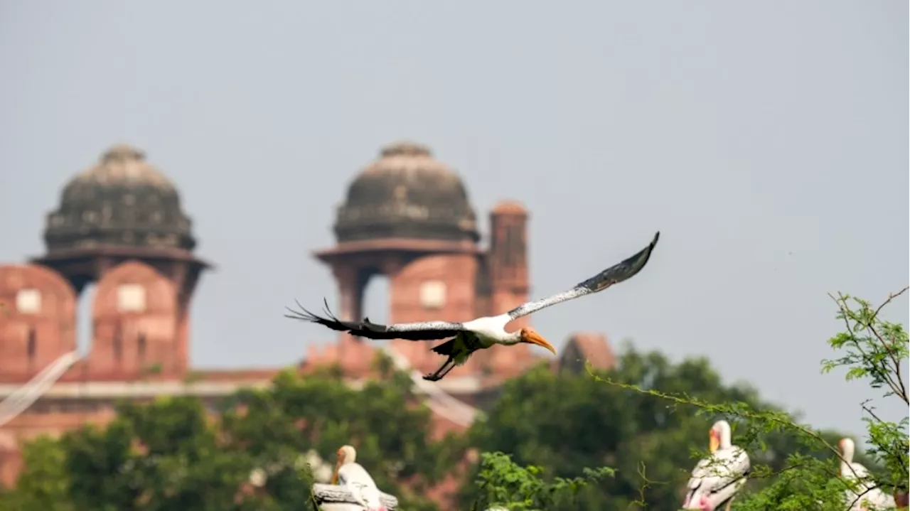 Delhi Rain Update: दिल्ली के पड़ोसी राज्यों में झमाझम बारिश, फिर क्यों सूखी है दिल्ली? जानें वजह