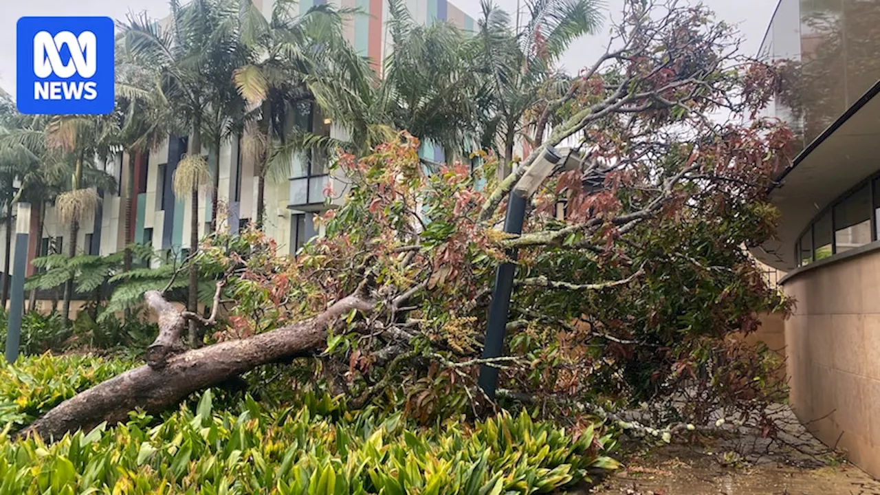 Weather bureau issues warning as intense low lashes northern NSW communities