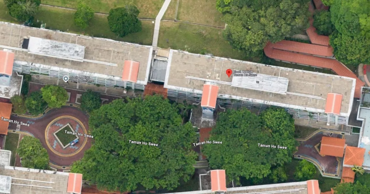 $8,000 rent for 3-room flat in Bukit Merah was input by 'mistake': HDB