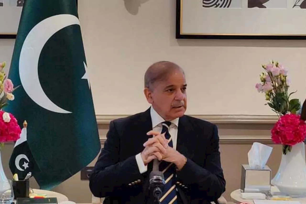 Shehbaz Sharif condemns social media campaign against military leaders