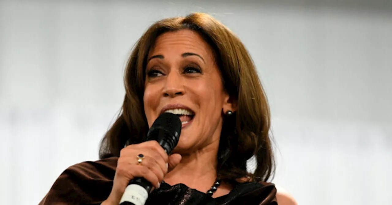 Kamala Harris's Border Stance Has Shifted Since 2019 Presidential Run, Says Jake Tapper