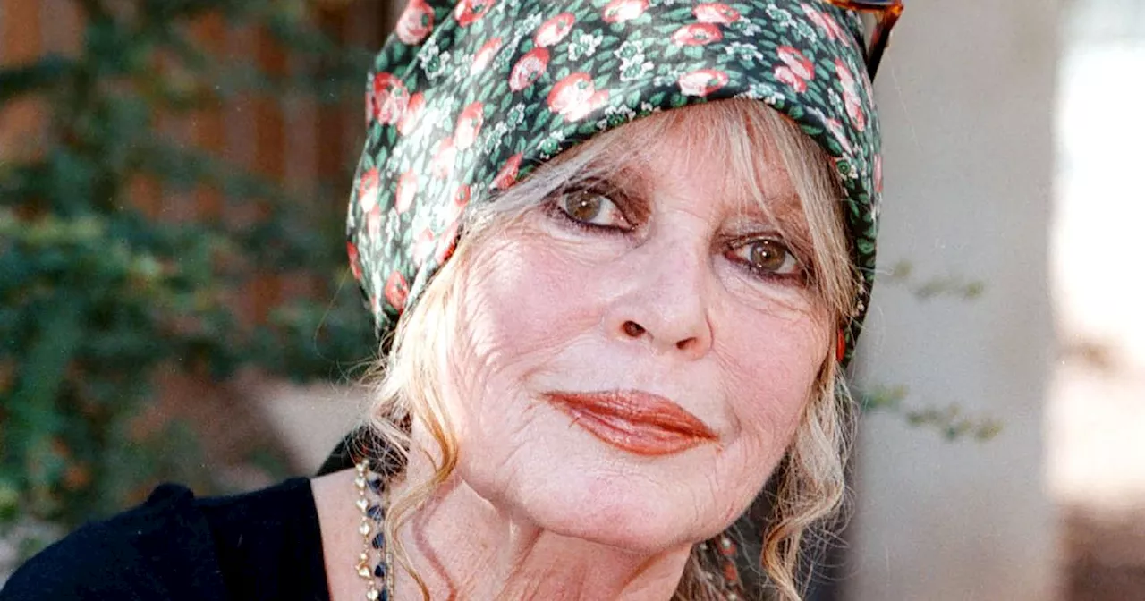 Brigitte Bardot wird 90: 'Ich habe die Nase voll von diesem Geburtstag!'