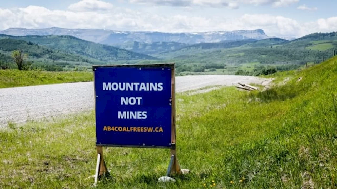 Alberta Energy Regulator to hold Rocky Mountain coal hearings despite legal challenge