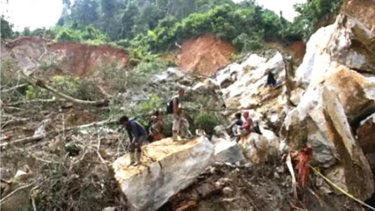 Longsor Tambang Ilegal di Solok, 15 Orang Meninggal Dunia