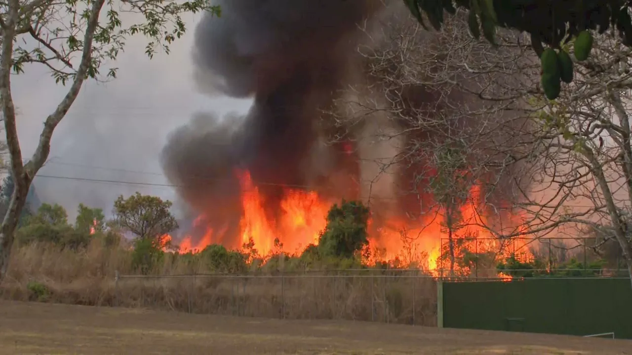 Fumaça de incêndio florestal interdita pista do Aeroporto de Brasília; voos não foram prejudicados