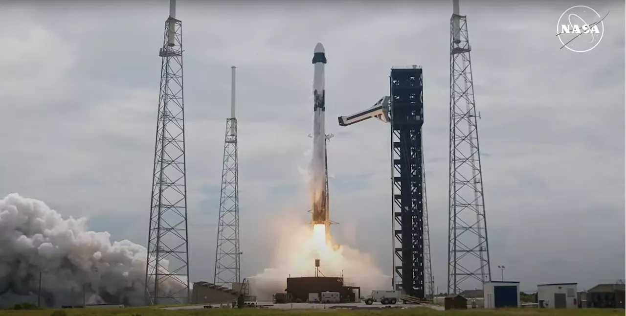 SpaceX lança Crew-9, missão para resgatar astronautas da Starliner; veja fotos