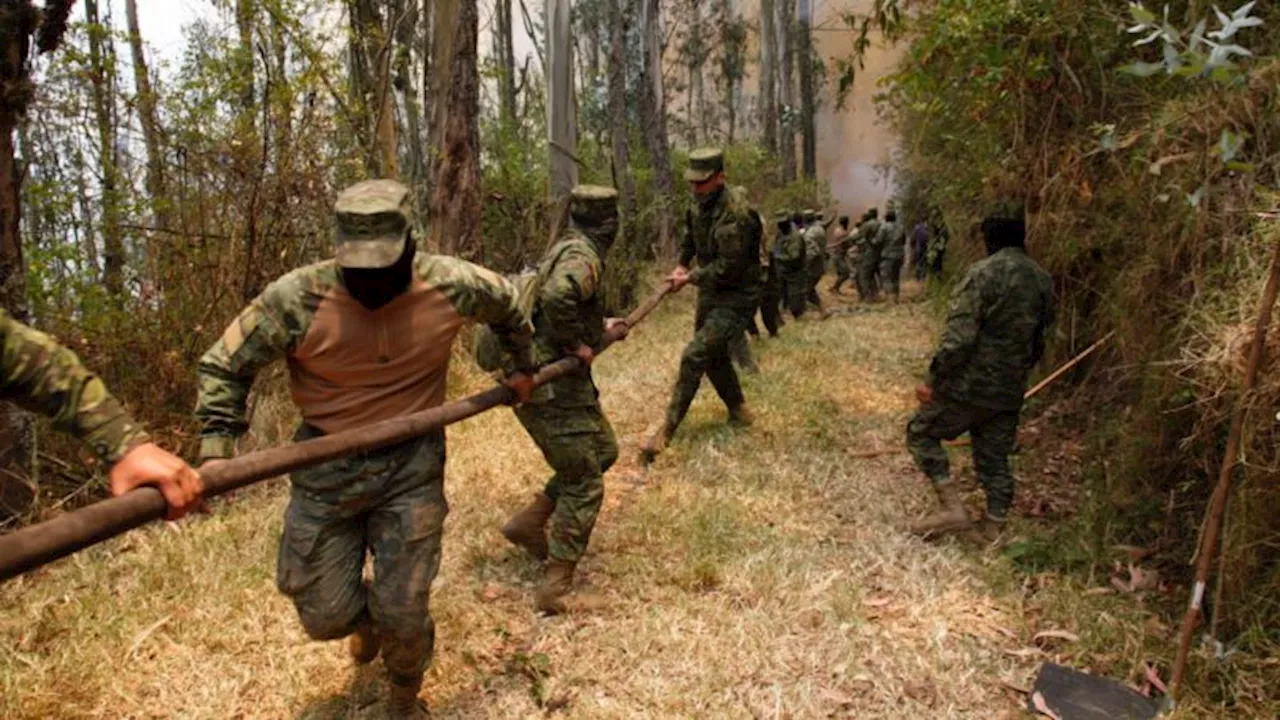 Declaran liquidados los incendios que afectaron Quito esta semana; hay 4 presuntos responsables detenidos