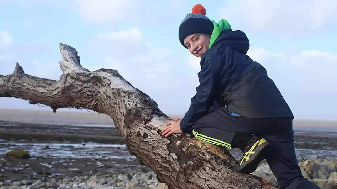 Sapling from Felled Sycamore Gap Tree to Be Planted in Memory of Schoolboy