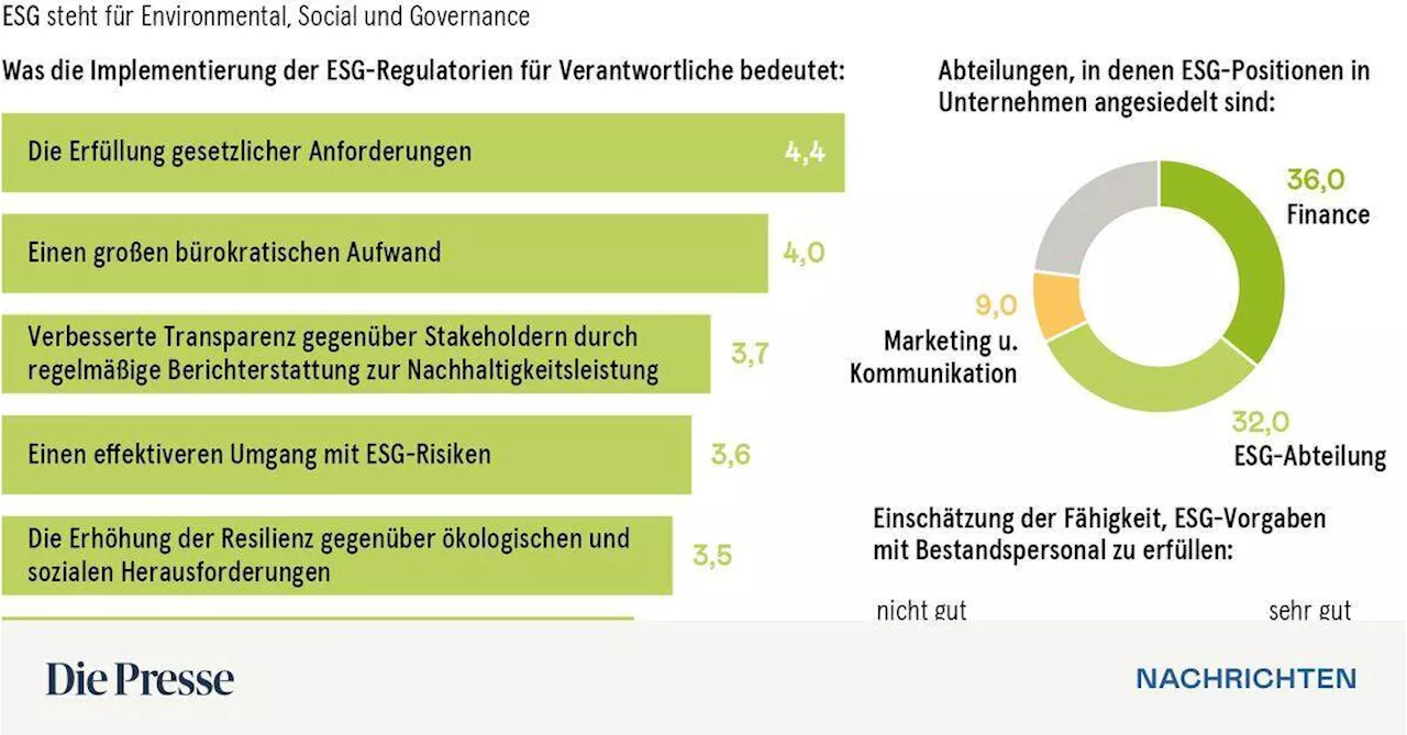 Finance: Die ESG-Experten im Unternehmen