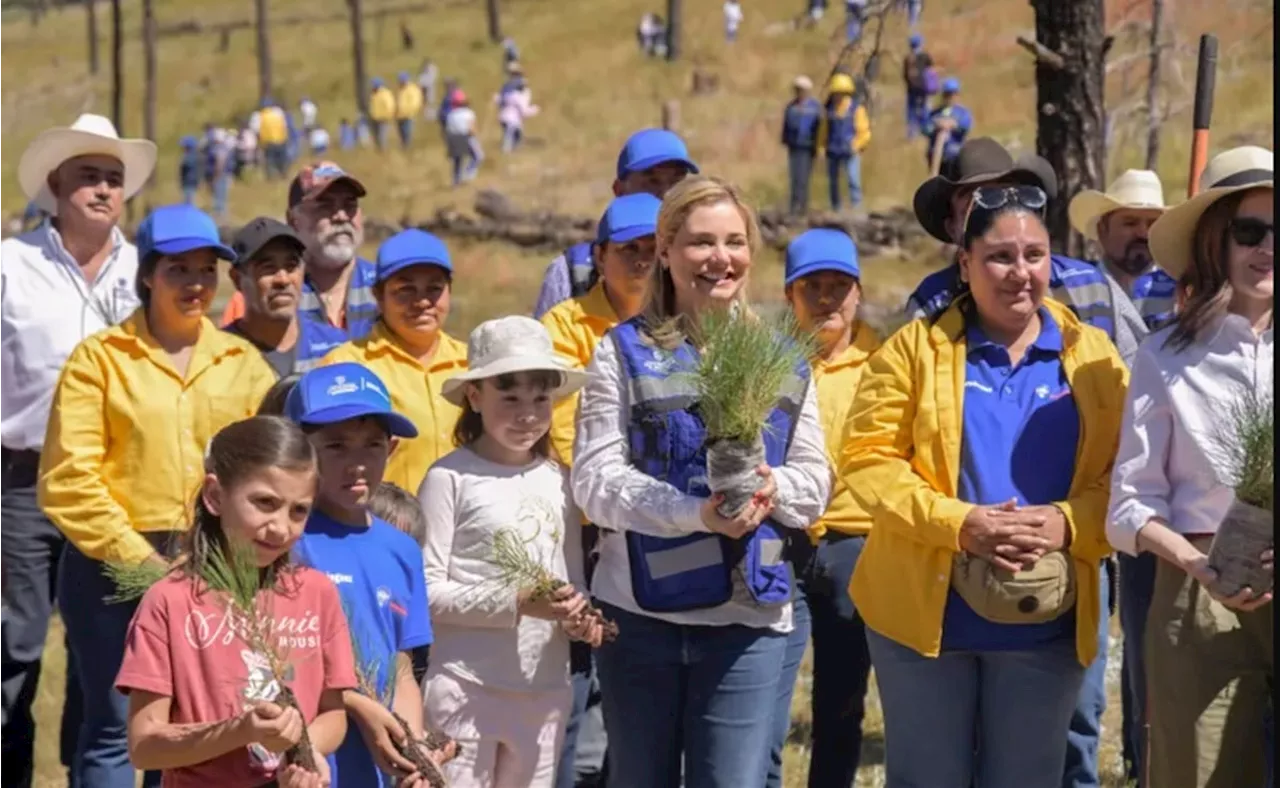 Maru Campos concluye entrega de 1.2 millones de árboles para reforestar la presa Situriachi