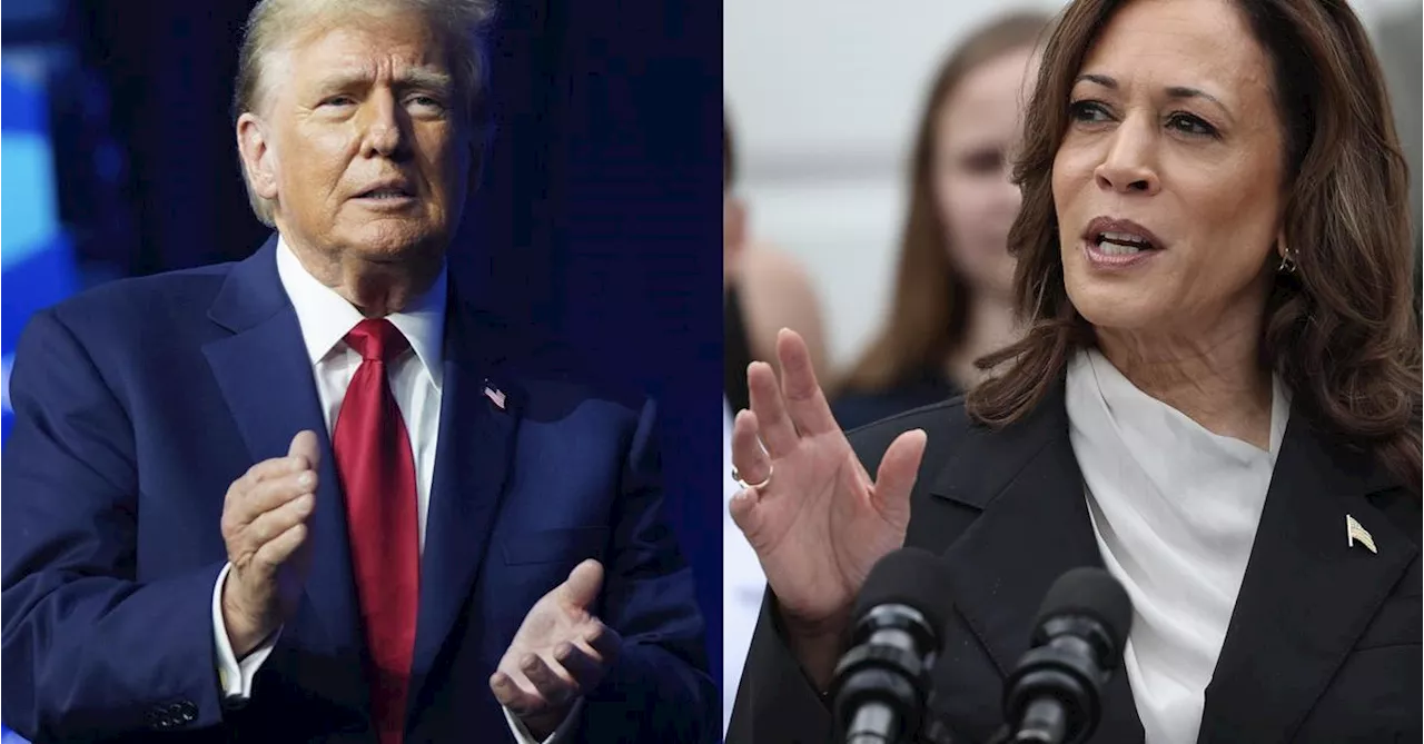 Trump, Kamala Harris, las trampas y el mundo en las urnas de EEUU