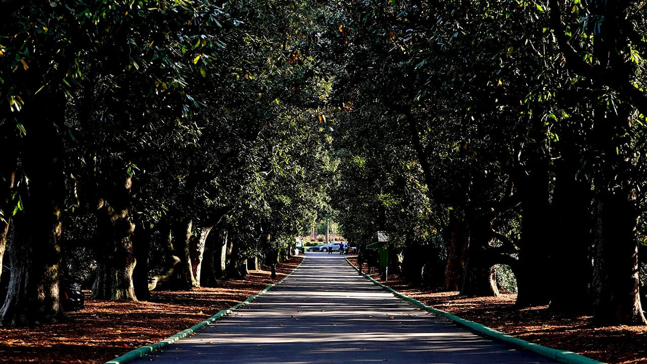 Hurricane Helene Damages Augusta National Golf Course