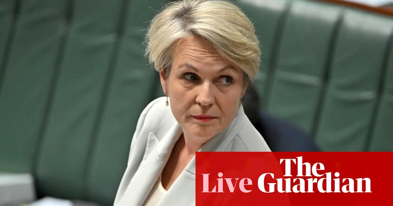 Australia news live: Tanya Plibersek tells Australians in Lebanon ‘come home now’ as crisis escalates