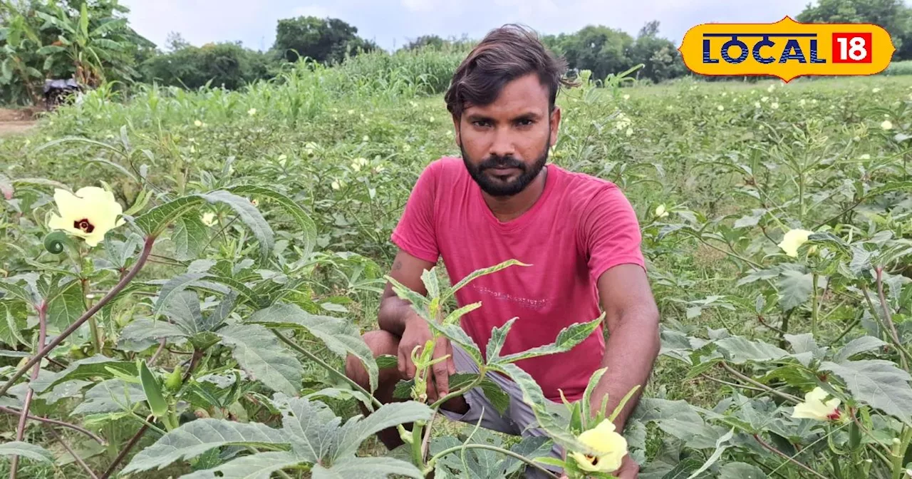 किसान इस हरी सब्जी की करें खेती, एक बीघे में 8 हजार तक आएगी लागत, कमाई होगी जबरदस्त