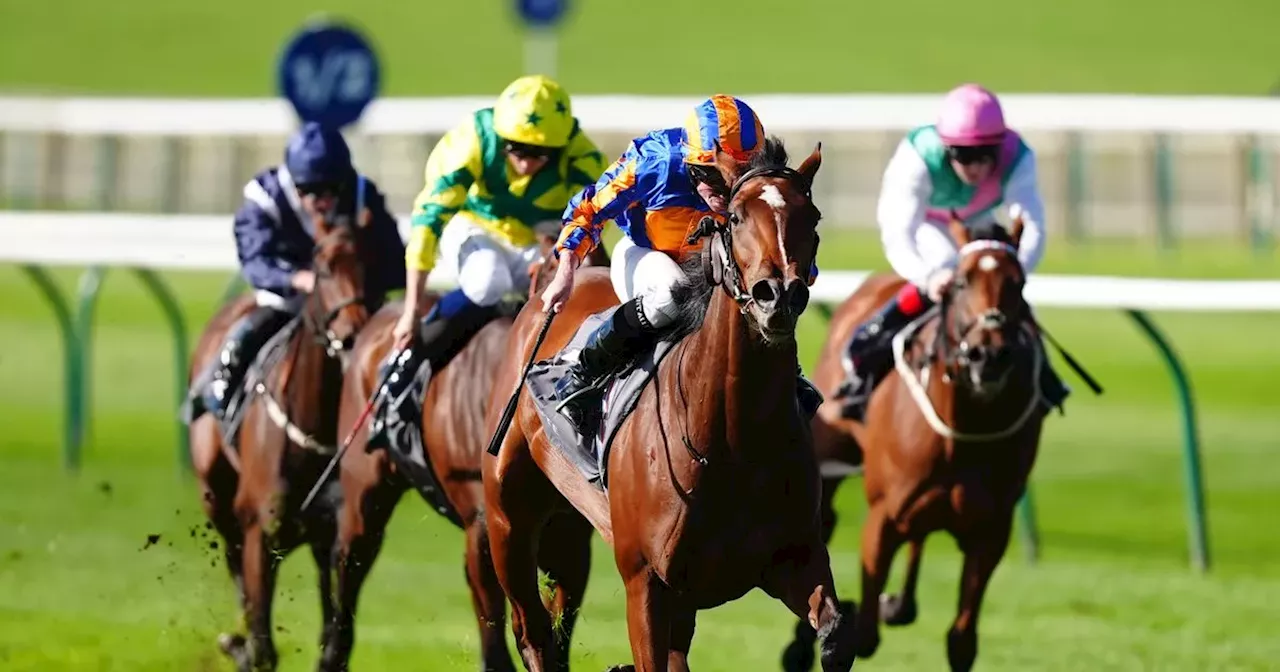 Aidan O'Brien's Lake Victoria dazzles in Juddmonte Cheveley Park Stakes