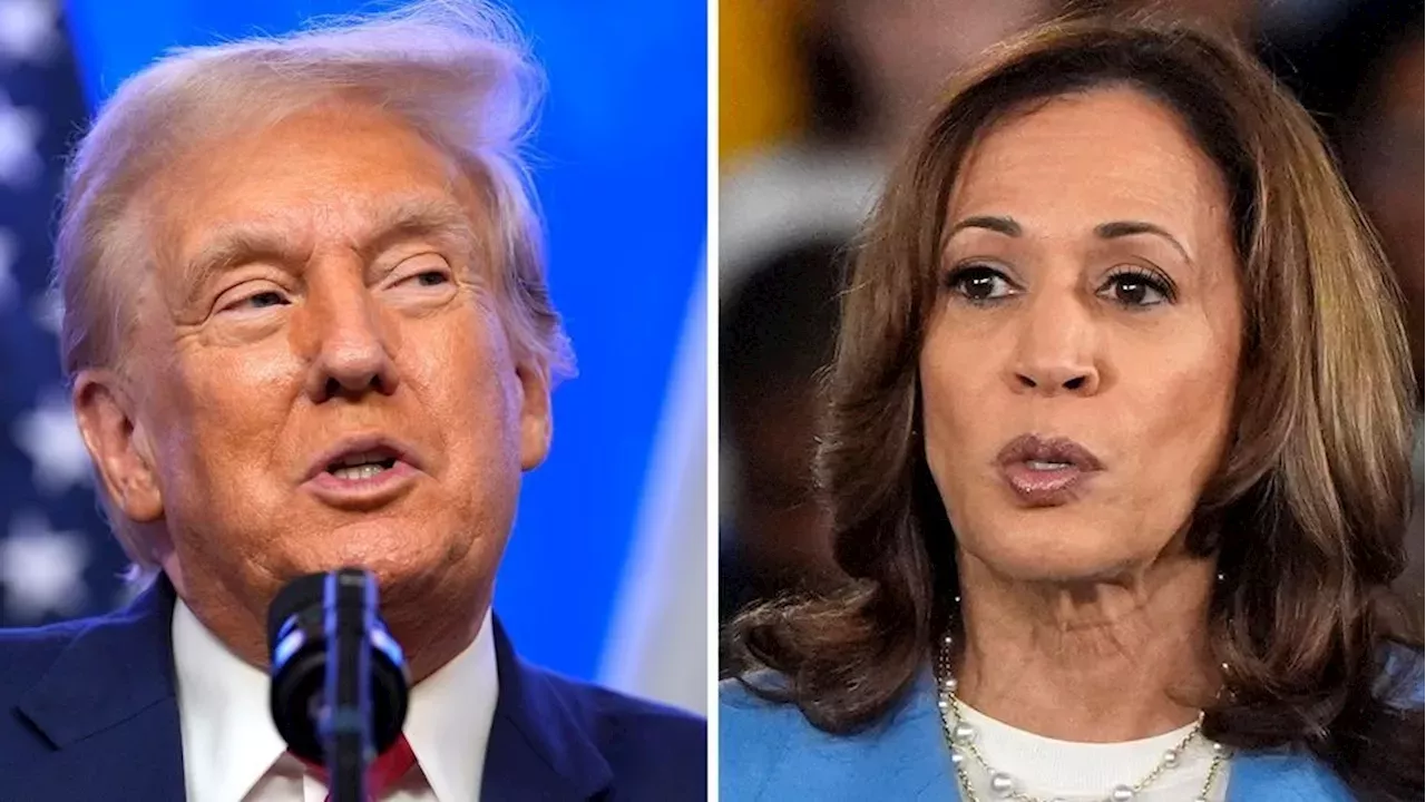 Trump Narrows Gap With Harris In Michigan, Wisconsin Polls Politics