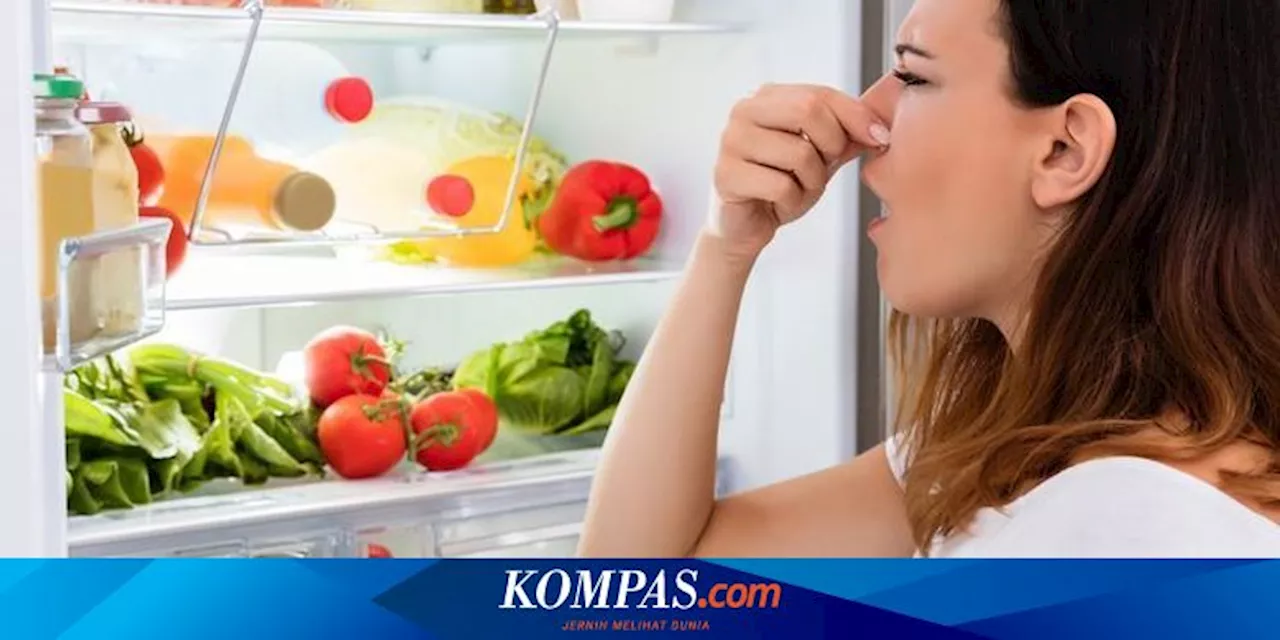 6 Kebiasaan yang Membuat Kulkas Cepat Berbau Tidak Sedap