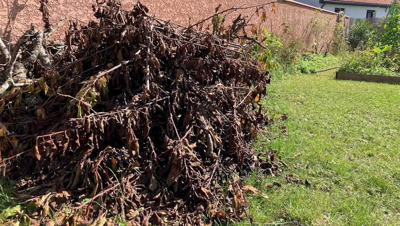 Vœu du conseil municipal pour adapter la gestion des déchets végétaux